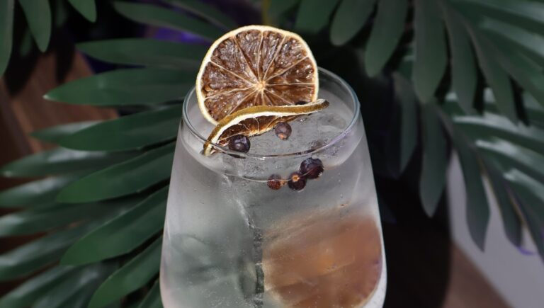 Gin tonic szárított citrommal