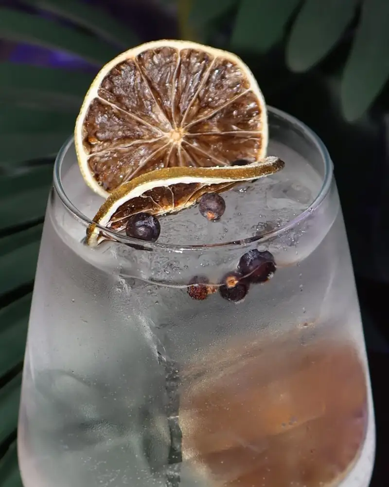 Gin tonik